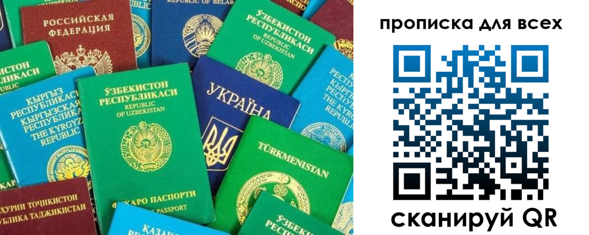 прописка в квартире в Новосибирской области